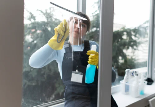 Nettoyage de vitres intérieures et extérieures à Génelard